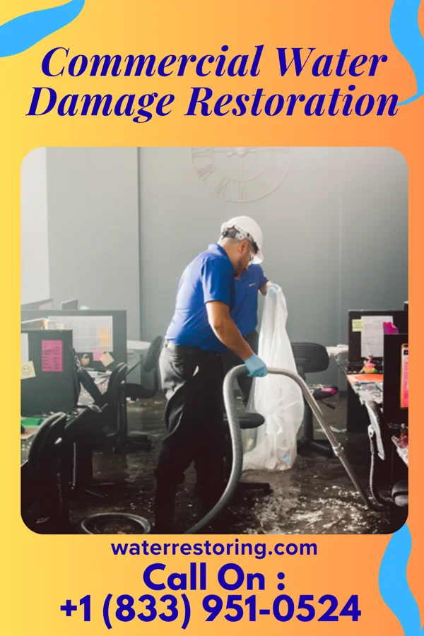 Commercial Water Damage Restoration in Moorhead, MS