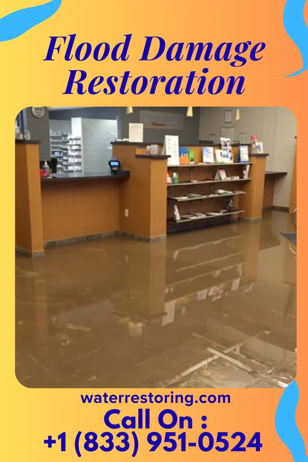 Flood Damage Restoration in Moorhead, MS