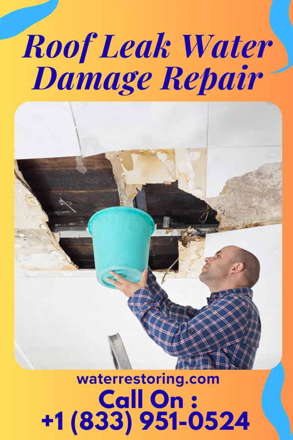 Roof Leak Water Damage Repair in Moorhead, MS